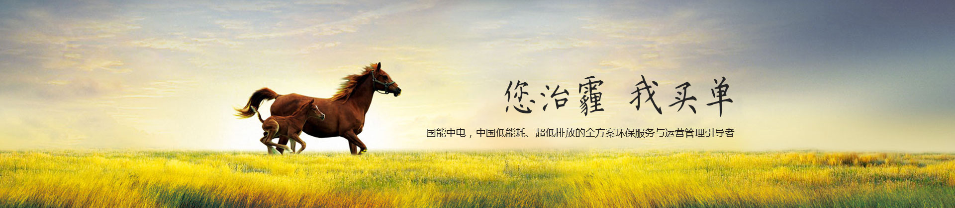 职业招聘banner